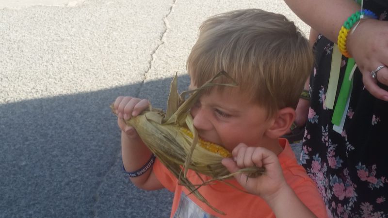 Sweet Corn Festival kicks off, continues today